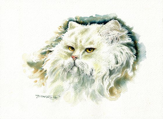 White Persian