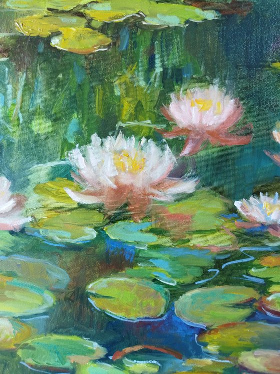 Water Lilies 60x40cm