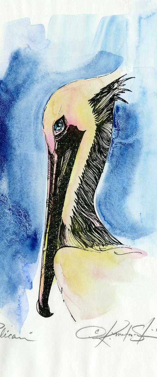 Pelican - Watercolor Painting  by Kathy Morton Stanion by Kathy Morton Stanion