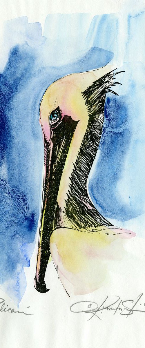 Pelican by Kathy Morton Stanion