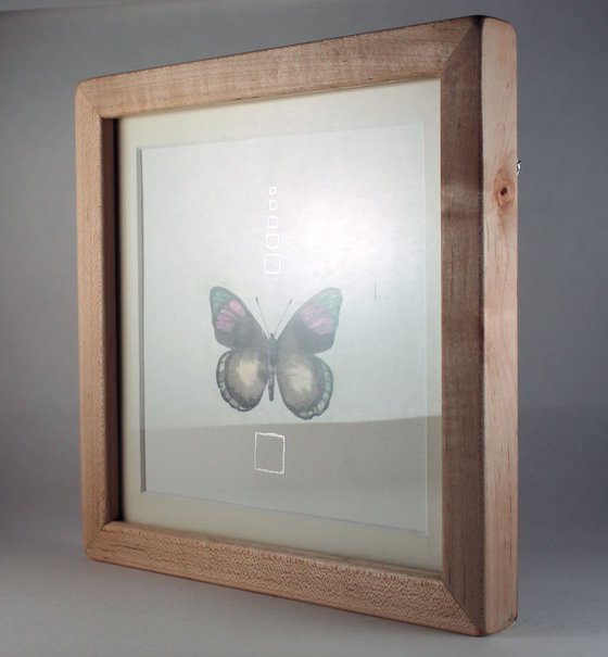 Butterfly / Framed ink painting with metallic pigment and silver leaf