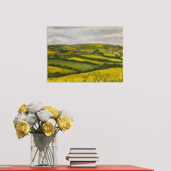 Fields of gold