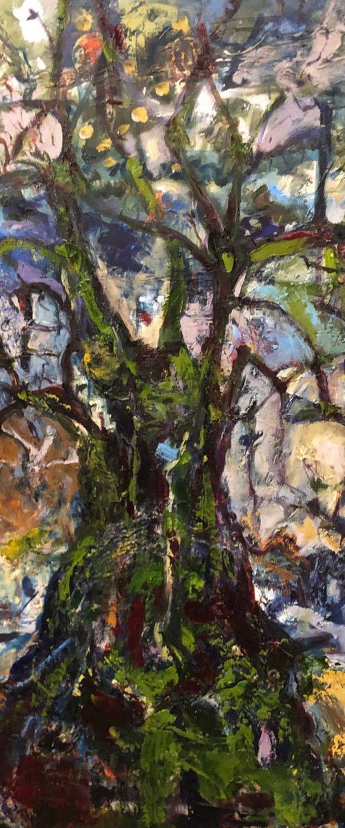 THE OLIVE TREE by Maureen Finck