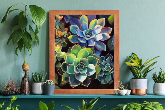 Blue succulent plants in sun