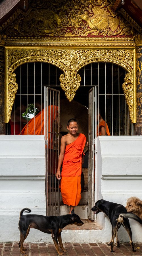 Temple Dogs of Laos No.1 by Serge Horta