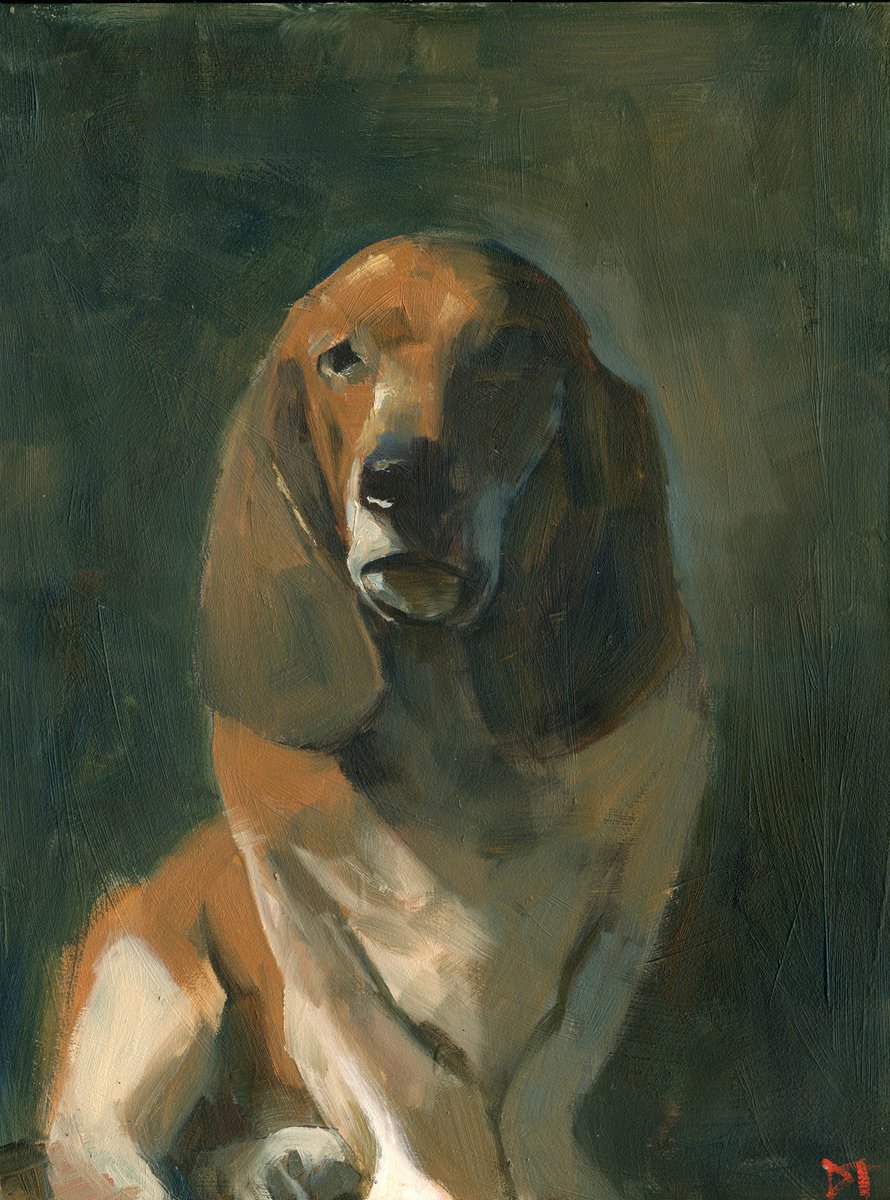 Dug the Dog by Darren Thompson
