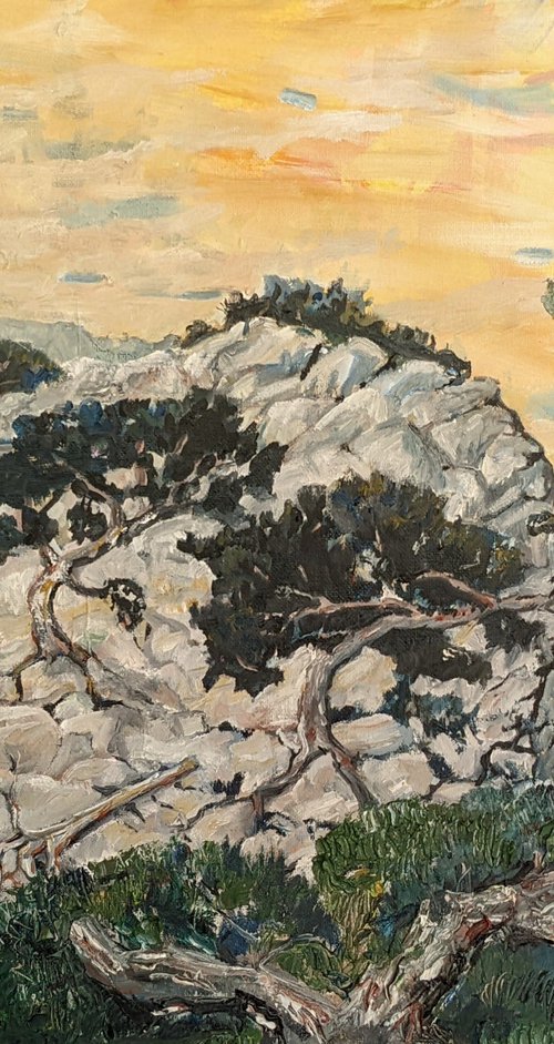 Battered Pines by Chris Walker