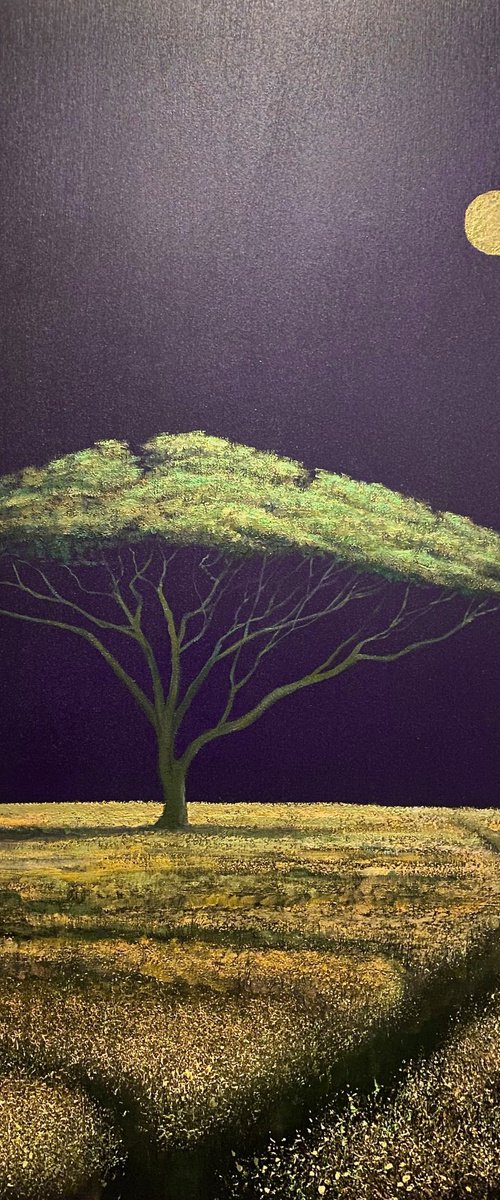 Vibration of Silence Gold Fields by Simon Jones