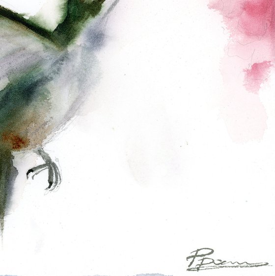 Hummingbird’s Pause