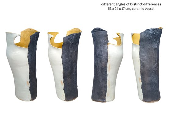 DISTINCT DIFFERENCES