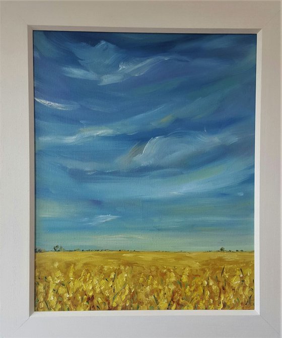 Golden fields and Blue skies - summer delight