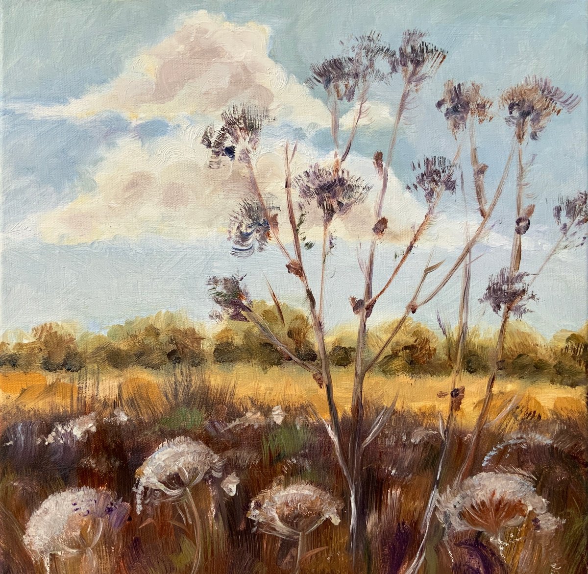 Autumn Herbs - wildflowers, meadow, landscape, by Alexandra Jagoda (Ovcharenko)