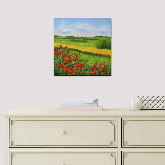 Red poppies field