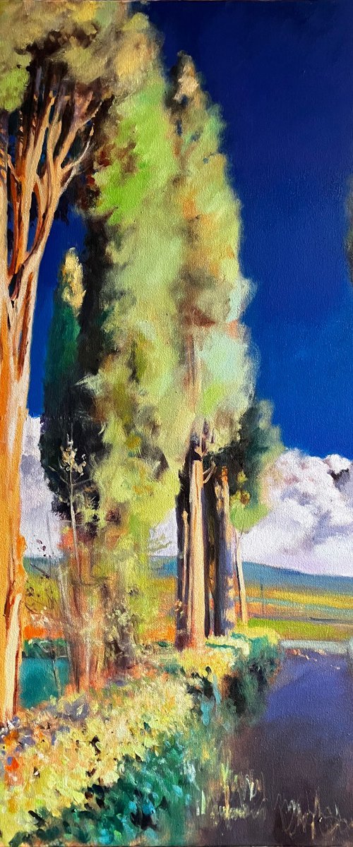 Montalcino 5 by John Welsh