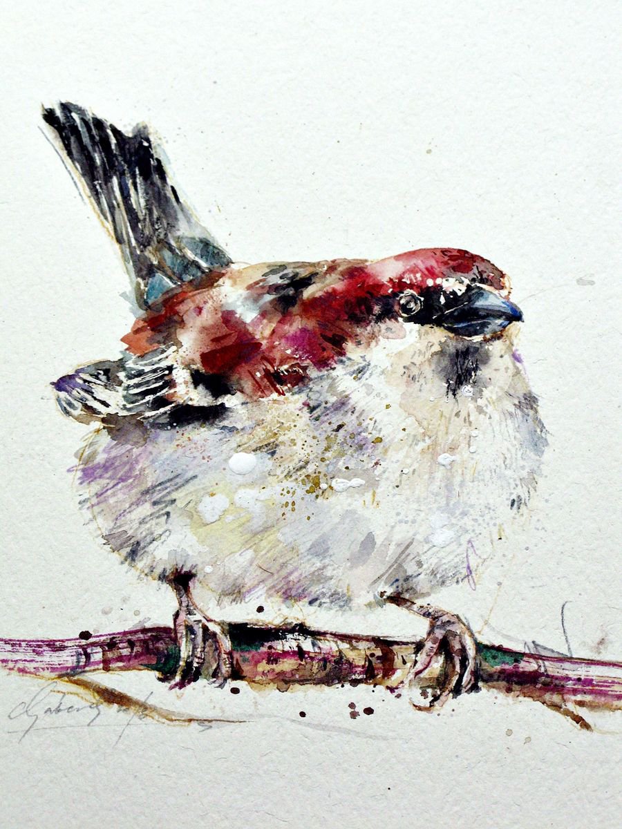 sparrow by Anna Maria