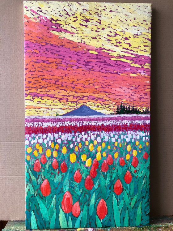 Field with tulips