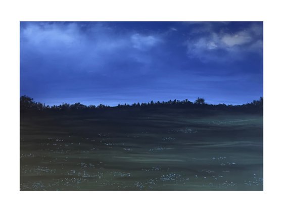 Wiese in der blauen Stunde