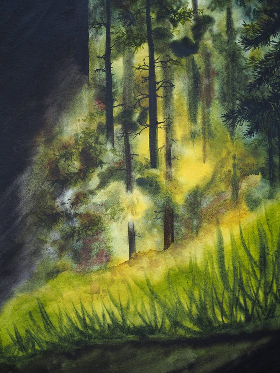 Forest coming
