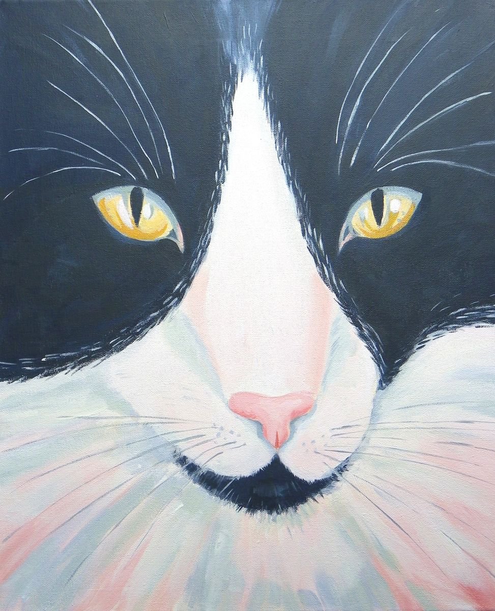 Black and white cat by Mary Stubberfield