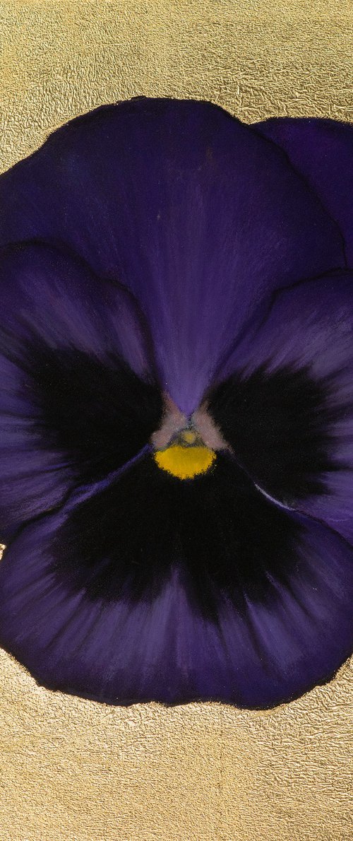 Pansy #20 by Oxana Babkina
