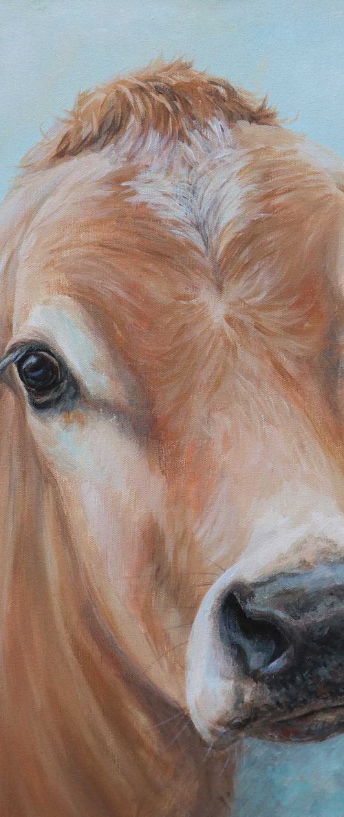 Meg by Ruth  Aslett
