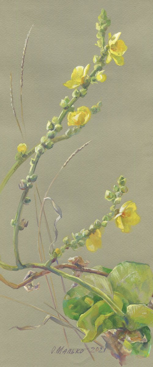 The summer last flowers on olive green paper / ORIGINAL watercolor painting ~8x16,5in (21x42cm) by Olha Malko