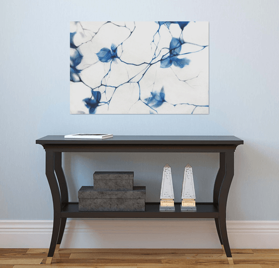 Fragile Blue Magnolia Cyanotype Style