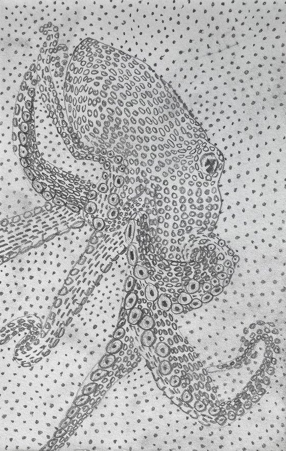 Octopus pencil drawings