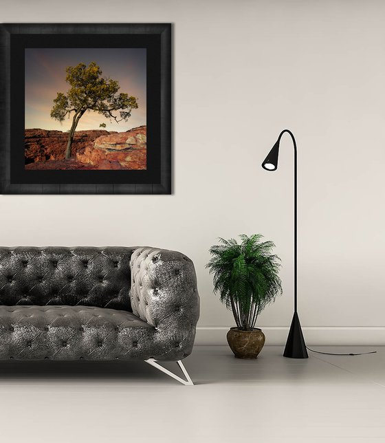 Rustic Canyon