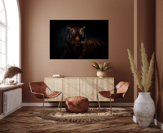 Tiger's Gaze - Fine art