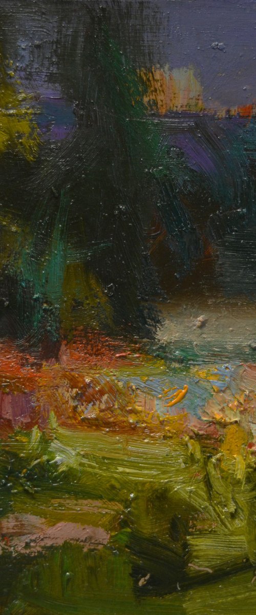 Light in the Grasslands by Vytautas Laisonas