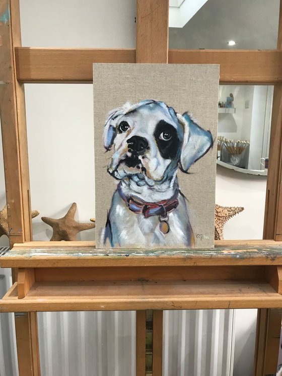 D4 Boxer Dog Original Oil Painting