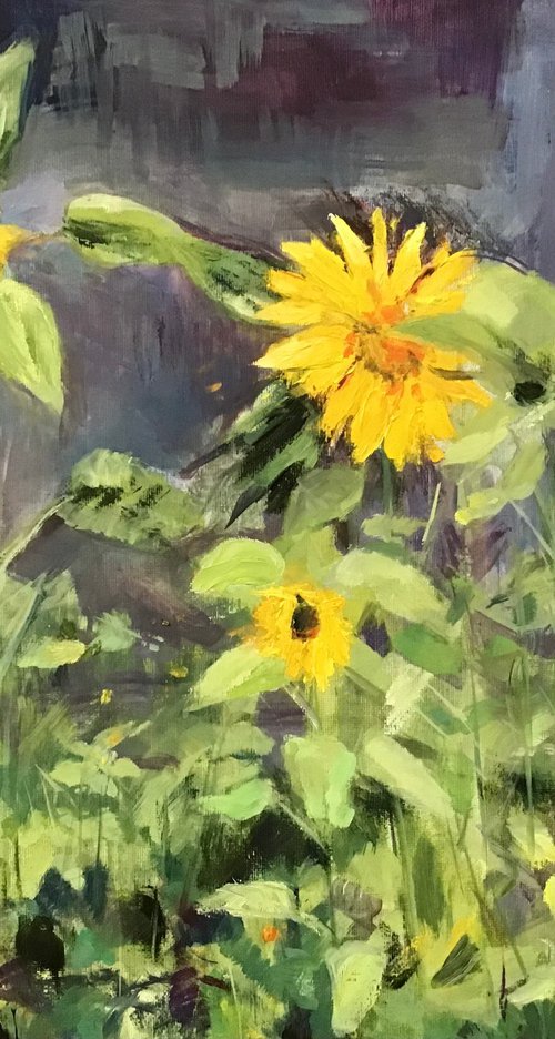 Sunflowers by Sandra Haney