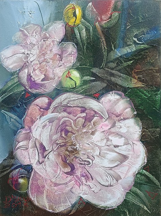 Peonies Are Blooming