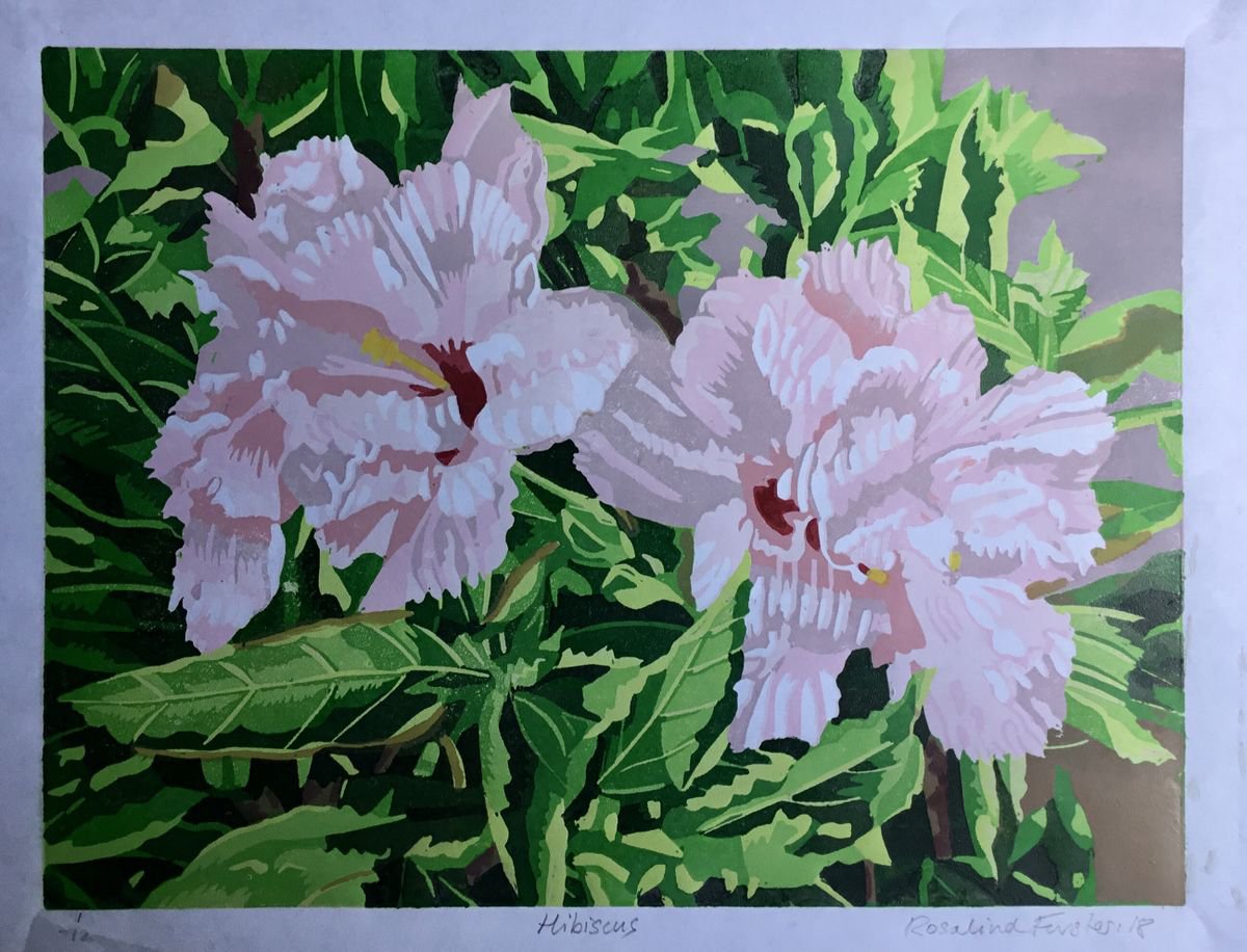 Botanical Linocut By Rosalind Forster, 13 X 11", Hibiscus, Original Artwork