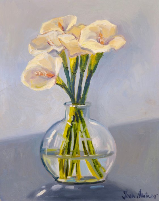 White Calla Lilies