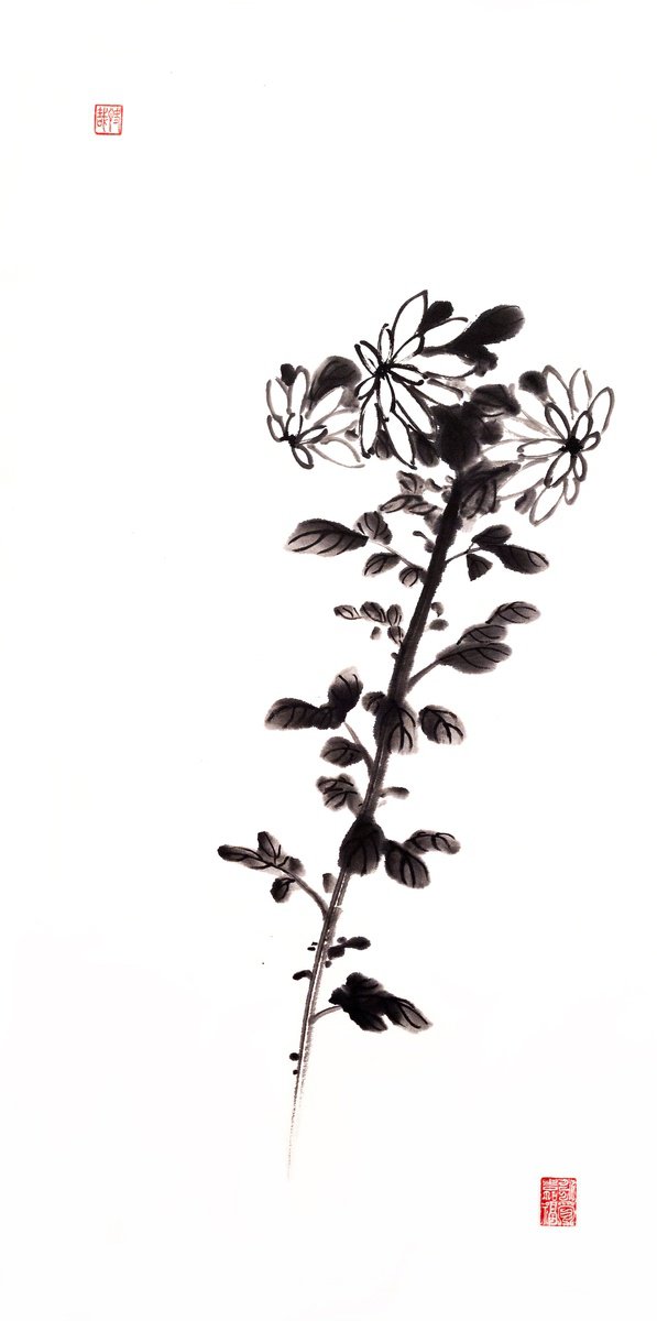 Chrysanthemum flower- Oriental Chinese Ink Painting by Ilana Shechter