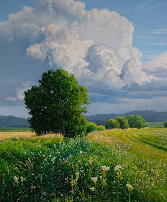 Stormy summer landscape