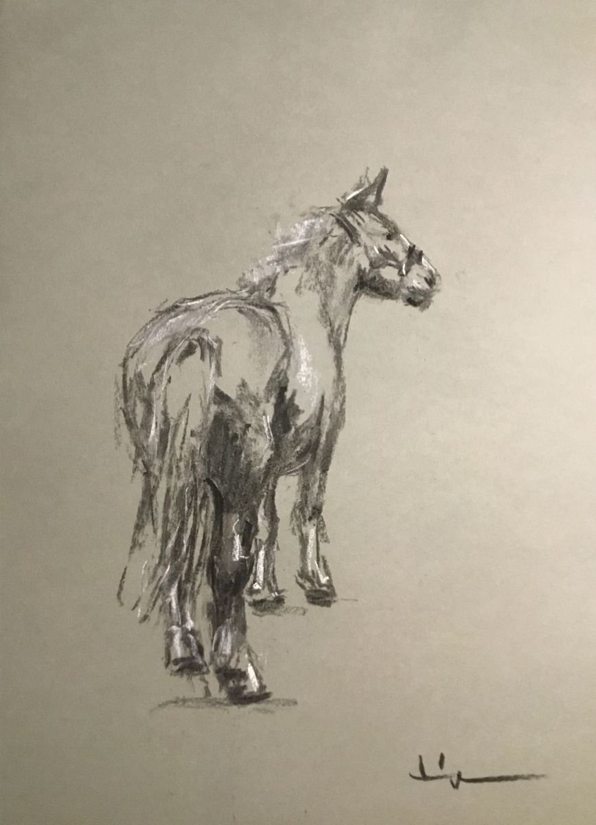 Expressive Animal Charcoal Drawing By Dominique Deve, 12 X 16, Horse Study 5, Original Artwork