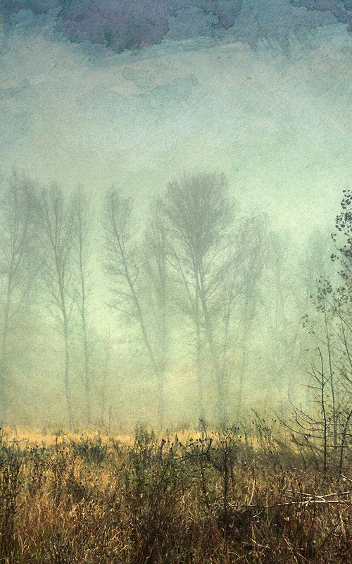 Foggy pathway. by Valerix