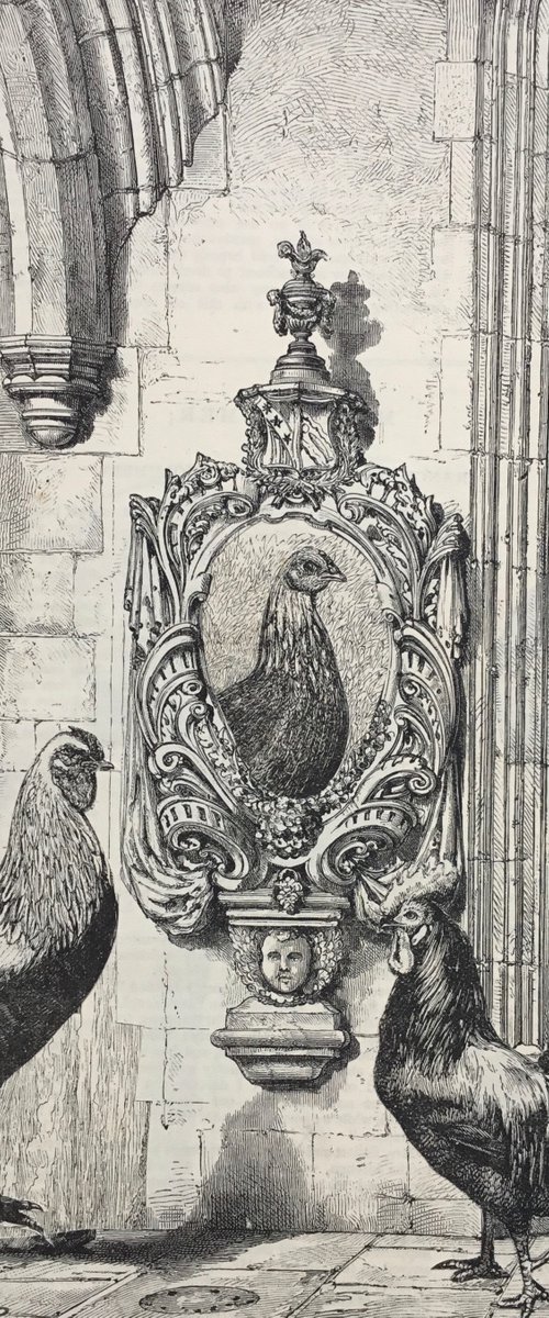 Roosters by Tudor Evans