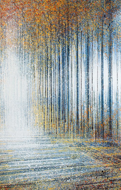 Forest Trees In Late Afternoon Bright Light by Marc Todd