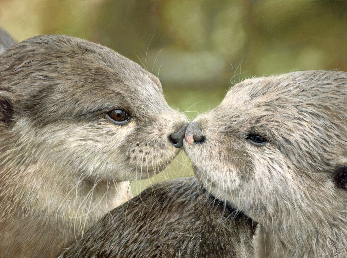 Photorealistic Pastel Drawing , The Otter Half By Annika Schmitt, 20 X 16, Artwork For Sale On Artfinder