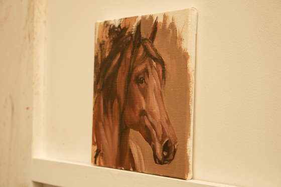 Equine Head Arab Chestnut (study 27)