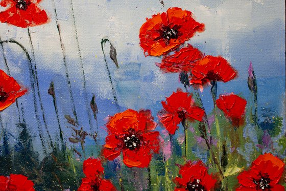 Red flowers , poppies