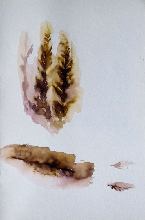Pine Wood Study 7, 24x16 cm by Frederic Belaubre