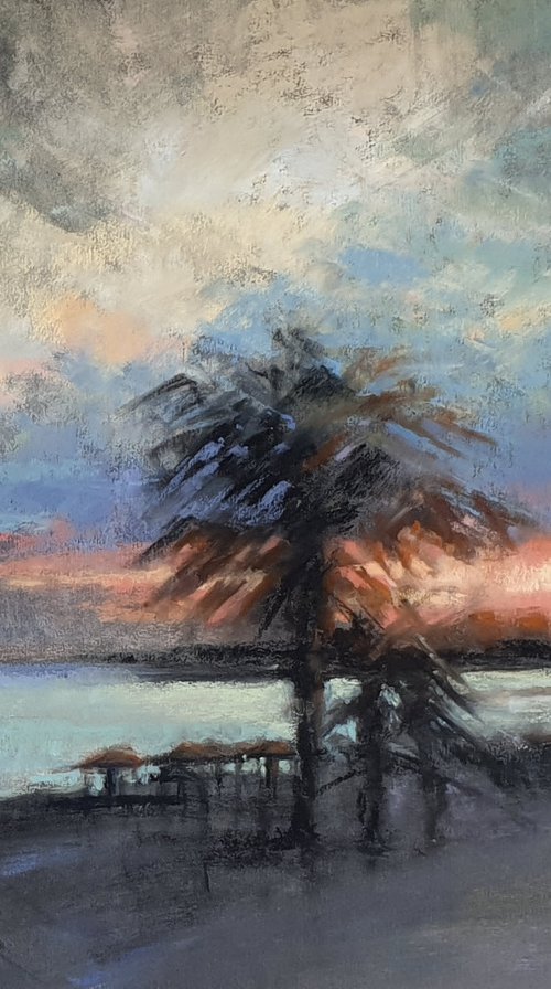 Palm Beach Sunset by Elena Genkin