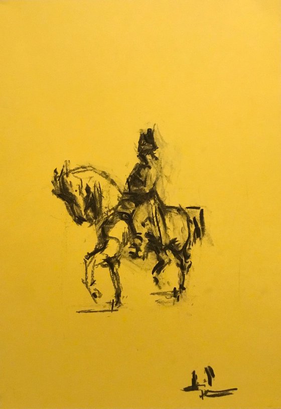 Napoleon Study