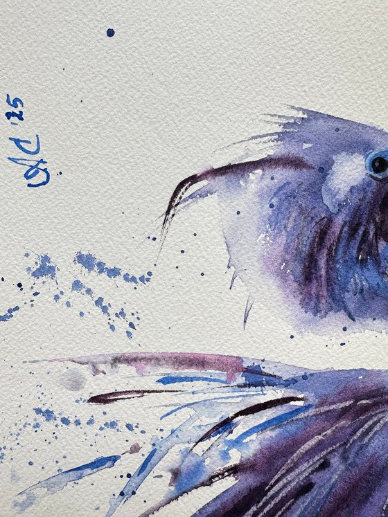 Blue Heron