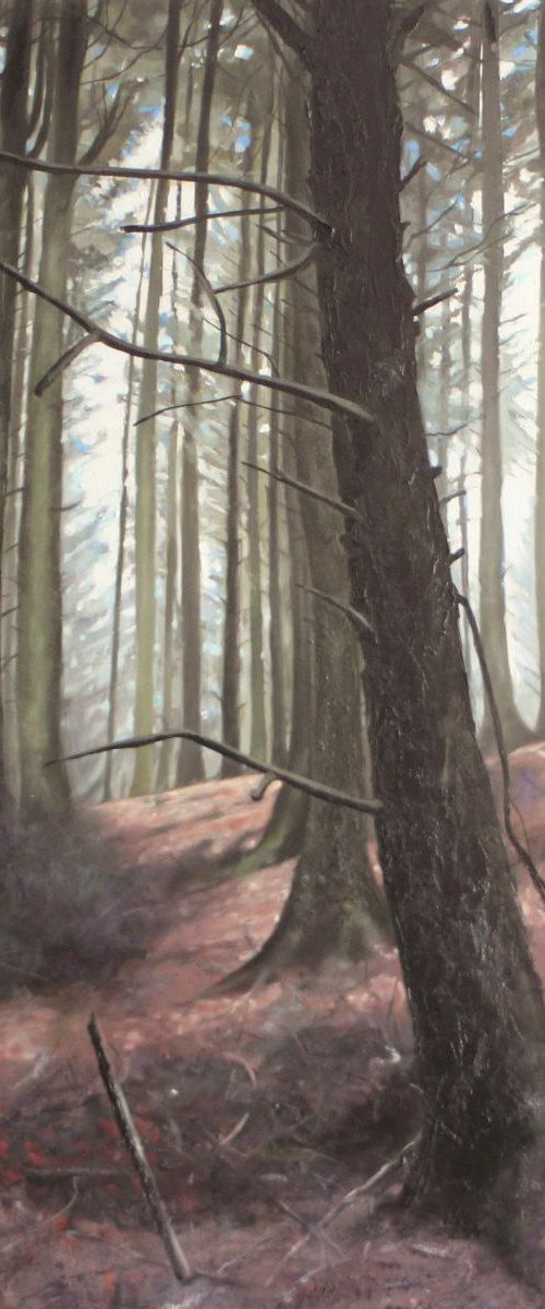 Deep Within Light Touches by Kerry Lisa Davies